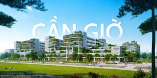 Giải Mã Sức Hút Vượt Trội: Phân Tích Chuyên Sâu Cơ Hội Đầu Tư và An Cư Tại Căn Hộ MIK Cần Giờ